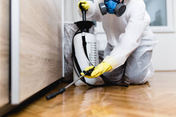 Best Residential Pest Control  in Kekoskee, WI