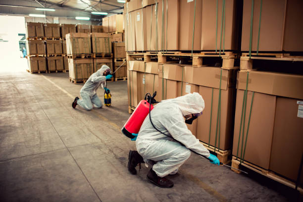 Reliable Kekoskee, WI Pest Control Solutions