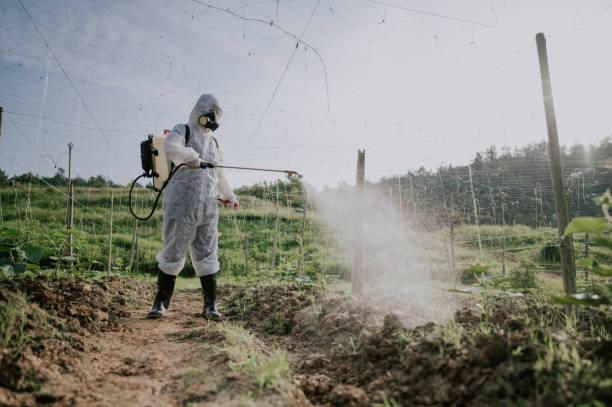 Best Ant Control Services  in Kekoskee, WI