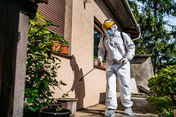 Best Bed Bug Extermination  in Kekoskee, WI
