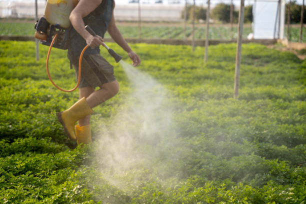 Best Exterminator Services  in Kekoskee, WI