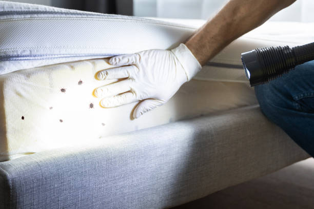 Best Commercial Pest Control Services  in Kekoskee, WI