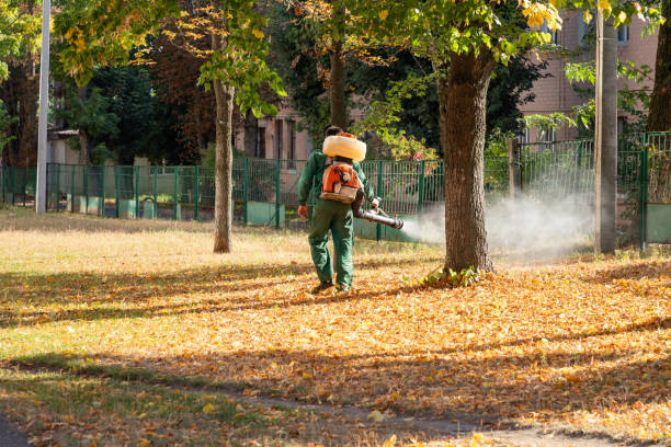 Best Emergency Pest Control  in Kekoskee, WI