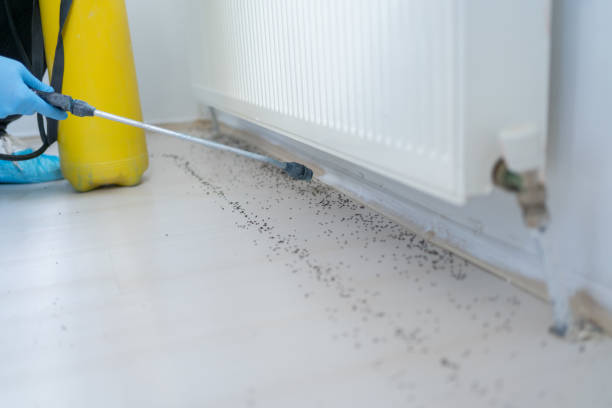 Best Flea Control Services  in Kekoskee, WI