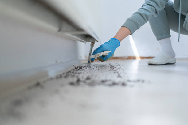 Best Local Pest Control Services  in Kekoskee, WI