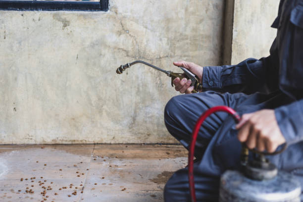 Best Exterminator Services  in Kekoskee, WI